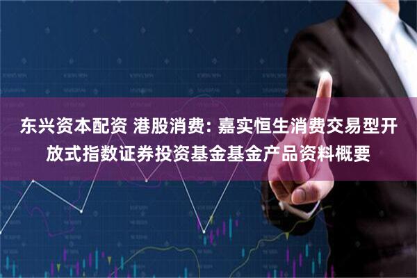 东兴资本配资 港股消费: 嘉实恒生消费交易型开放式指数证券投资基金基金产品资料概要
